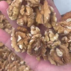 Industrial Walnut Kernel Sorting Machine with FPGA Based Image Processing,