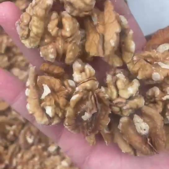Industrial Walnut Kernel Sorting Machine with FPGA Based Image Processing,