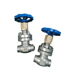  -80C Cryogenic Globe Valve With Socket Weld Ends Manufactures