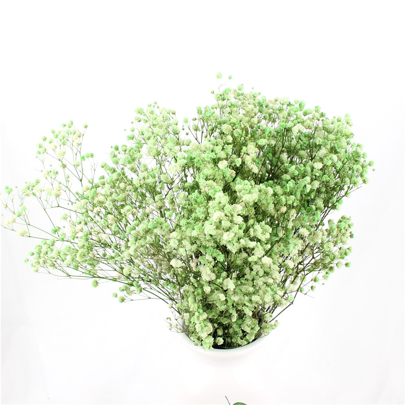 Non Toxic Harmless Preserved Baby Breath Flowers For Ins Valentine Gift