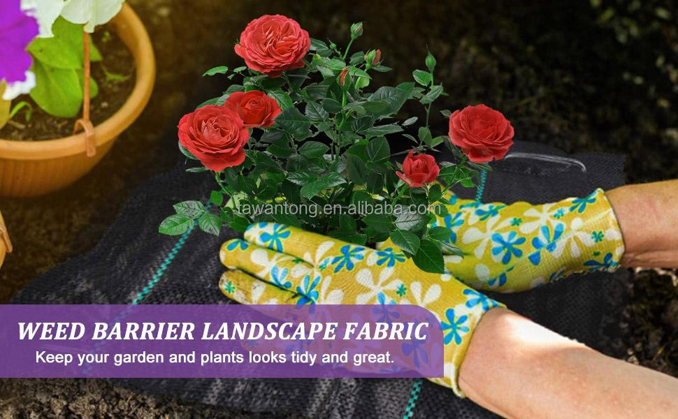 PP Woven Geotextile Weed Control Barrier Landscape Fabric for Ground Cover Width 1-6m