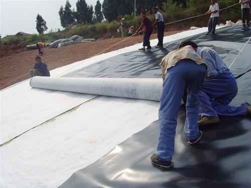 HDPE Fish Shrimp Farm Pond Liner Geomembrane 0.5mm Thickness ASTM GM13 for Aquaculture