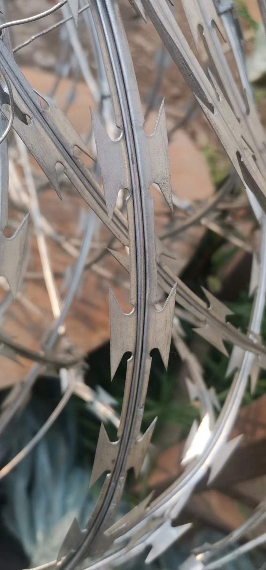 razor wire