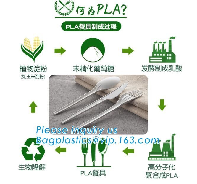 Meal Prep Containers Free Sample Bento Lunch Box Biodegradable Food Container Plastic Wheat Straw Lunch Box bagplastics