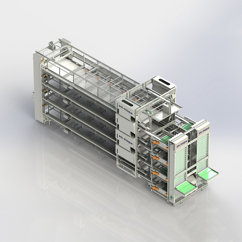 Poultry Cages For Professional & Economic Egg Production