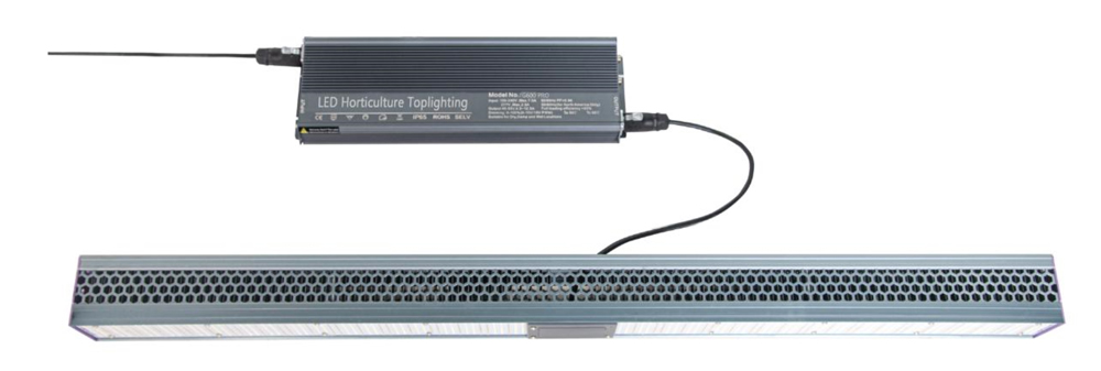 640W Greenhouse Supplemental Lighting 660nm IP65 Grow Lights For Vegetables Indoors