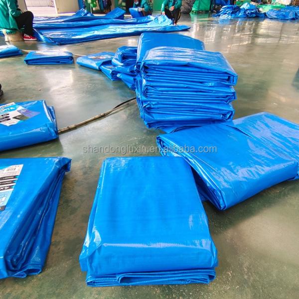 Customized Color Double Faced Pe Tarpaulin Roll for Trucking Covering in Other