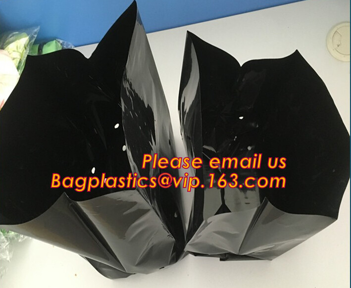 cultivating bags, 100% biodegradable various Wholesale Poly Black Square Garden Plastic Baby Flower Plant Nursery Poly B