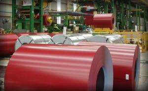  610mm RAL Color Galvanized Prepainted Steel Coils with Protective Film Manufactures