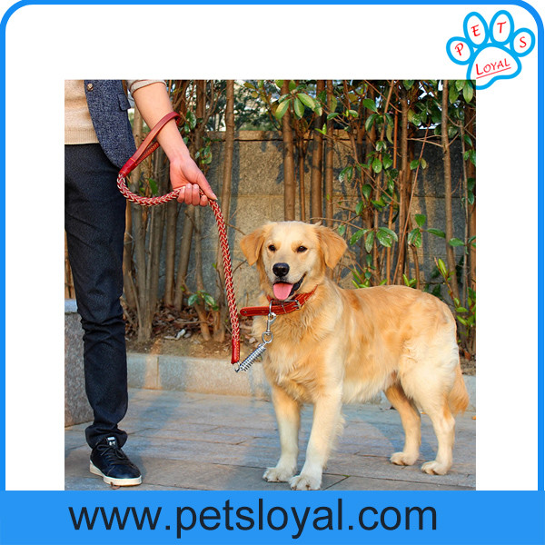 Hot Sale Leather Dog Leash Collar China Factory Wholesale
