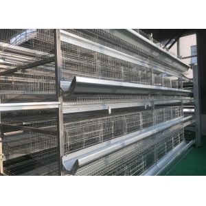 China High Density Automatic Poultry Feeder System Small Footprint Saving Land on sale