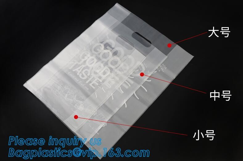 Meal Prep Containers Free Sample Bento Lunch Box Biodegradable Food Container Plastic Wheat Straw Lunch Box bagplastics