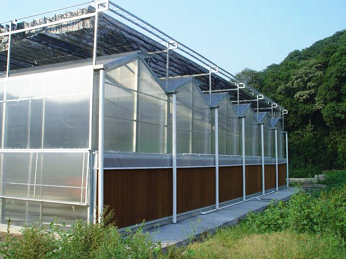 No Welded PC Sheet Greenhouse Galvanized Steel Skeleton Various Sheet Colors Available