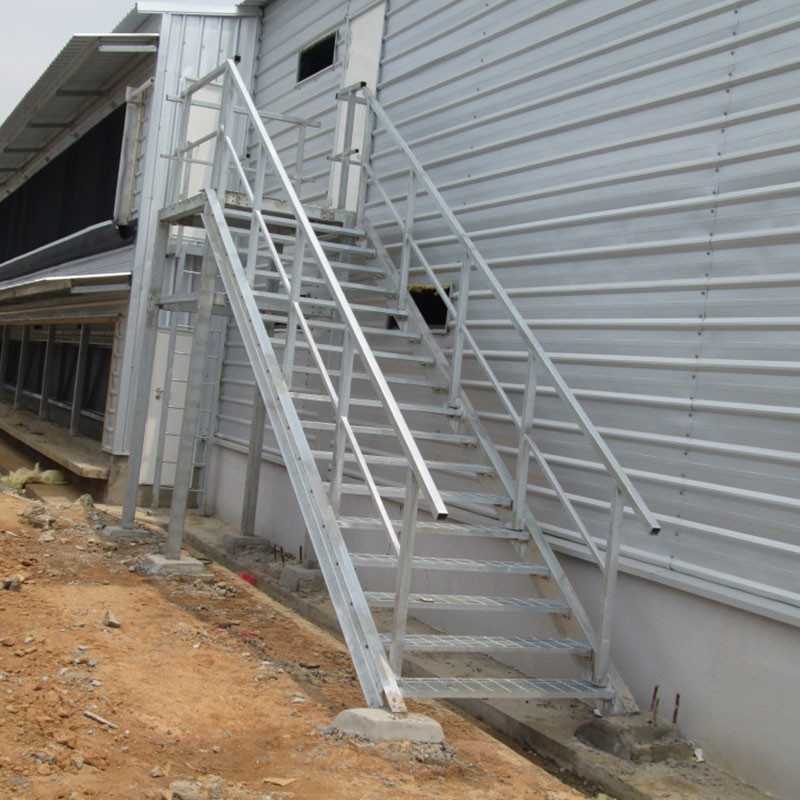 Light Steel Structure Poultry Farming Structures Poultry House