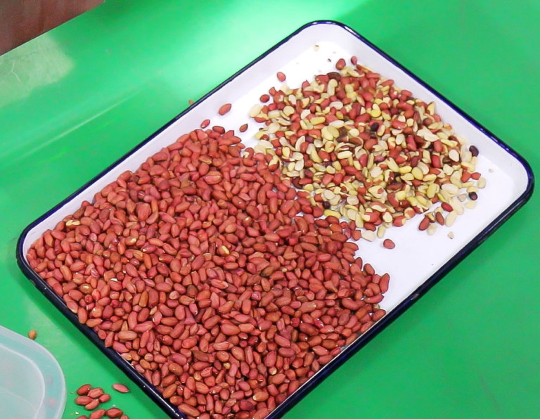 Intelligent 3T/H Color Sorter Machine With Toshiba CCD Sensor
