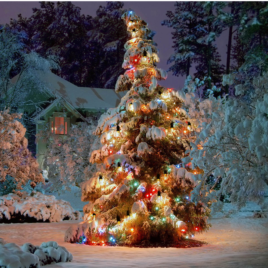 8.5M 15 LED Solar Edison Bulb String Lights
