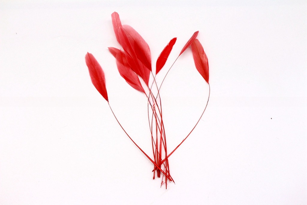 Stripped Rooster Coque Feather in Dyed Pattern for Chicken Feather Benefit