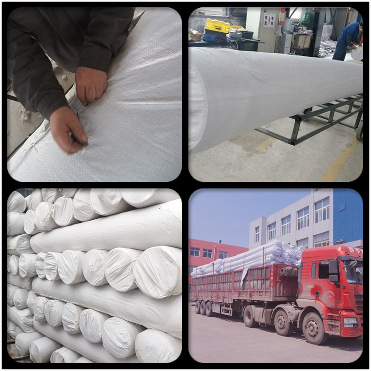 HDPE Greening System 3D Composite Drainage Geonet for Railways Highways