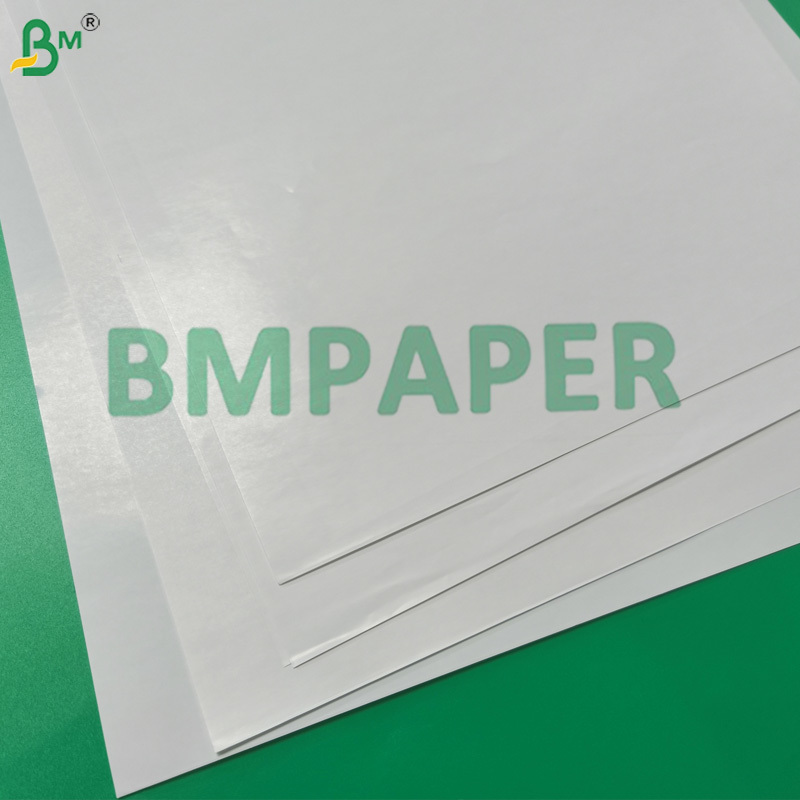 C1S Glossy Paper sample showing glossy coating