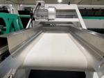 Blueberry Color Sorting Machine Mini Belt Color Sorter For Fresh Fruit
