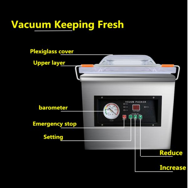 DZ-260/PD Table-Top Vacuum Packing Machine With CE Certification for Commodity L500*W340*H400mm