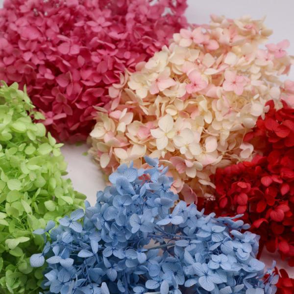 Beautiful multicolored Preserved Flower Hydrangea Bouquet Wholesale Preserved