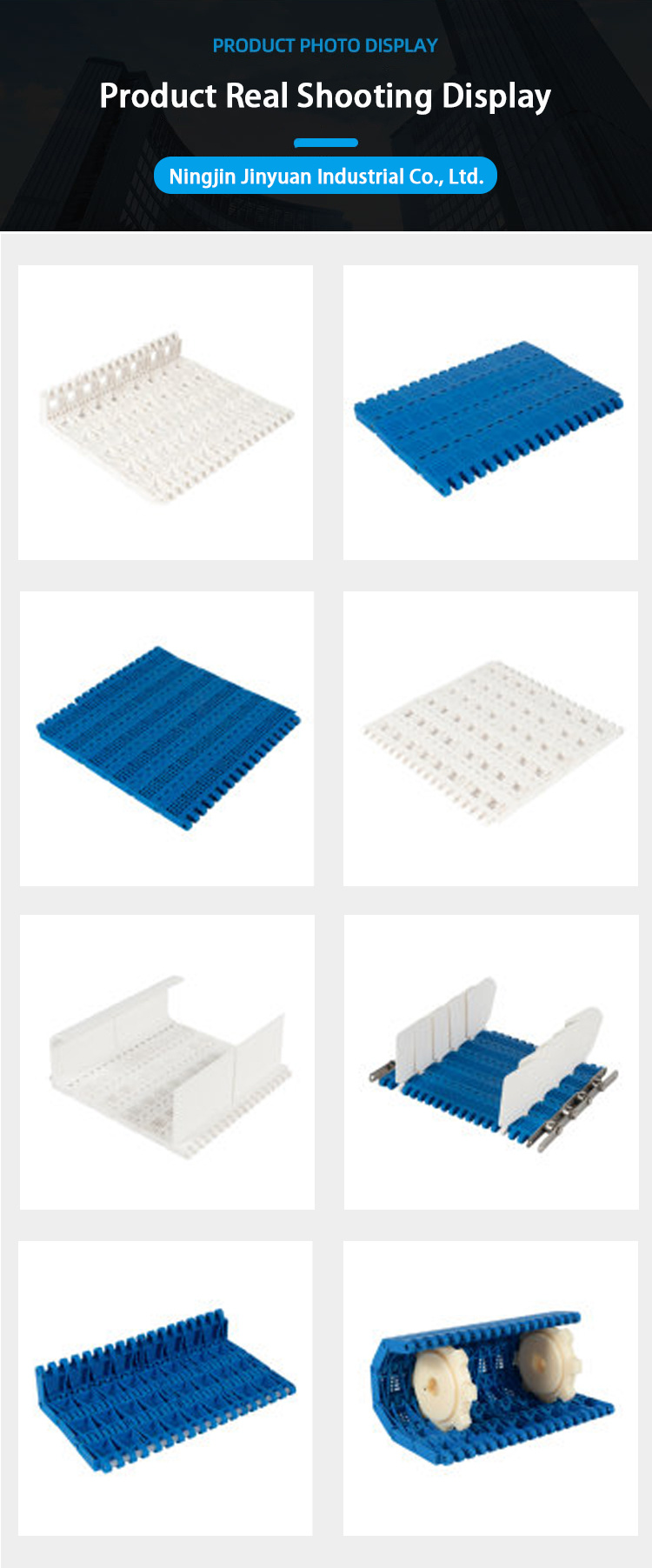Easy-to-Clean Plastic Conveyor Belt Low Cost for Meat/Poultry Vegetables