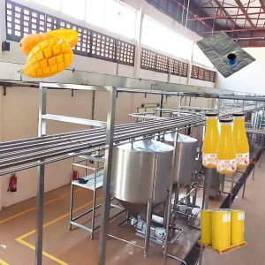 220V SUS304 Mango Juice Processing Line Destoning Removing
