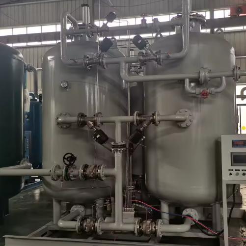 Quality 20Nm³/h 93% Purity Energy Saving PSA Oxygen Generator for Community Hospitals for sale