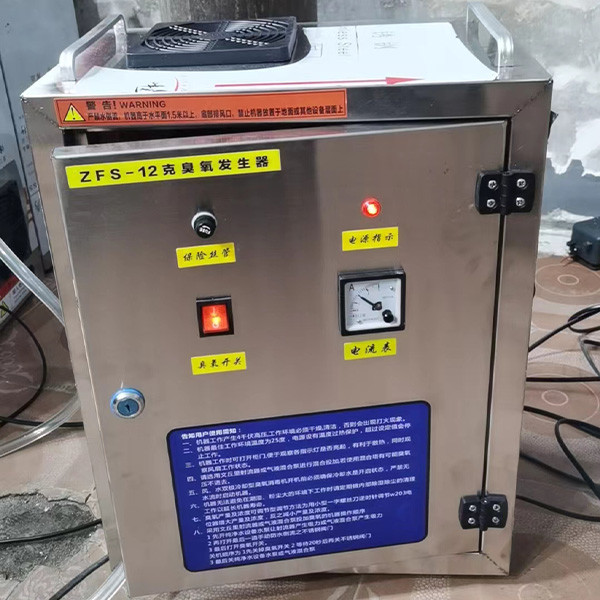 12g Fully Automatic Environmental Improvement Ozone Sterilization Equipment For Food Processing