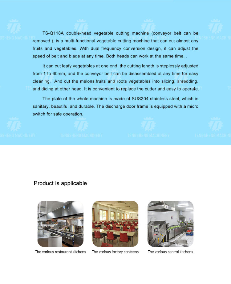 2.25kw 1000kg/hMulti-function vegetable cutter Double head vegetable cutter cabbage, potato, onion, ginger and garlic