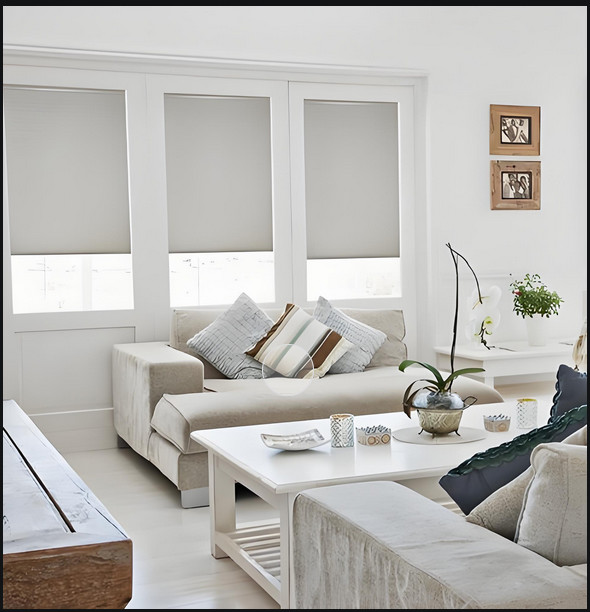 Commercial Grade Cordless Window Blind Fire Retardant Custom Sizes for Hotels Schools