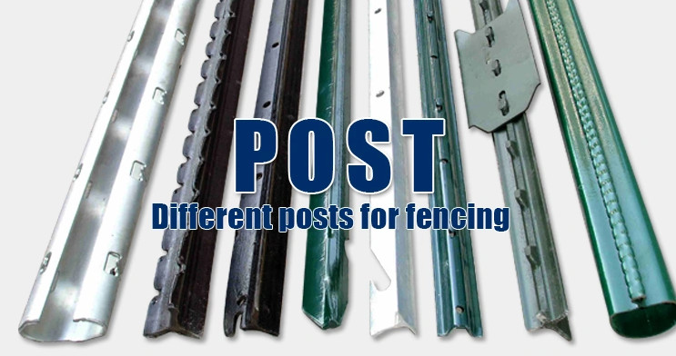 L8' 18 Holes Steel Fence T Post Canada Standard Studded T Post