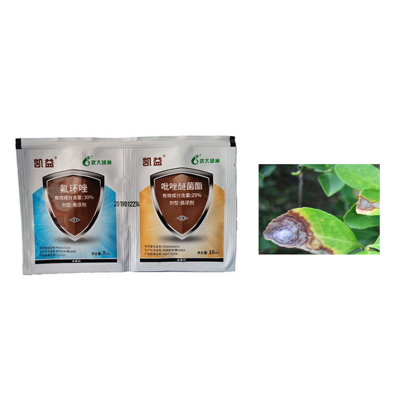 30% Epoxiconazole SC Wheat Rice Biological Fungicide Fungal Diseases Control