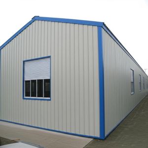 Customized Snow Load Capacity Metal Structure Storage designed with Steel Color Sheet Wall Panel