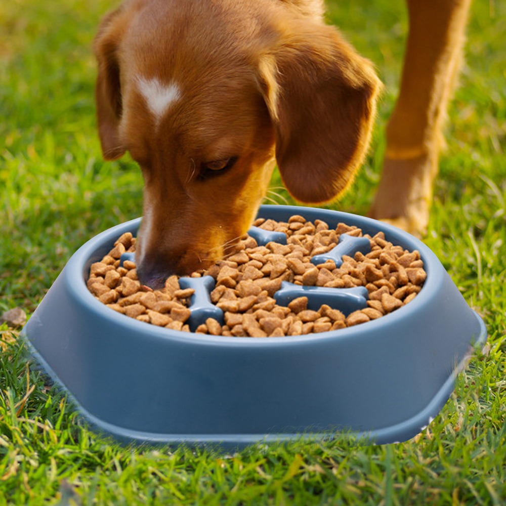 Pet Slow Feeder Dog Bowl Plastic Anti-Gulping Food Plate Feeding Dogs and Cats Bowls