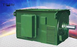  2500KW 3500KW High Efficiency 3 Phase HV Induction Motor High Voltage AC Motor IC611 Manufactures