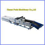  lemon grading machine, lemon waxing sorting machine Manufactures