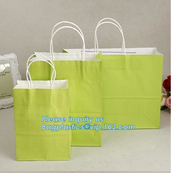 Luxury Paper Gift Carrier Shopping Bag Party Bag with Handles,printed paper carrier bag for apparel shopping bag, bageas