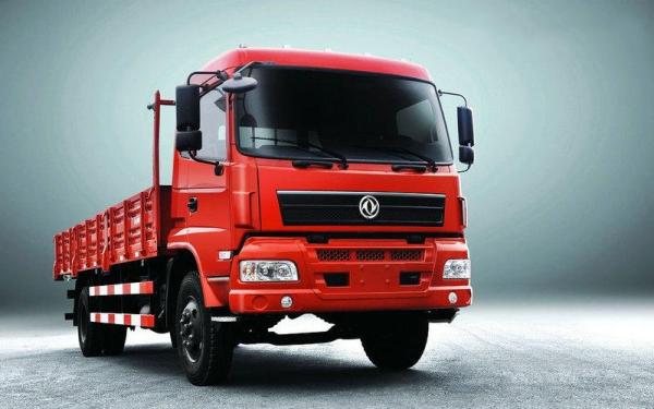 Euro3 Dongfeng DFD1161G Cargo Truck,Dongfeng Cummins Camions,Dongfeng Camiones