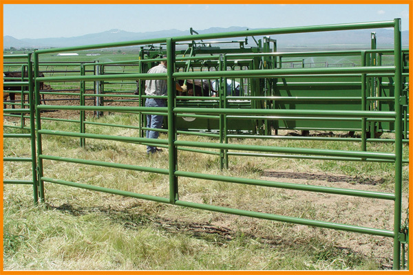 Hot dip galvanized zin Frame Finishing and Metal Frame Material cattle yard panels