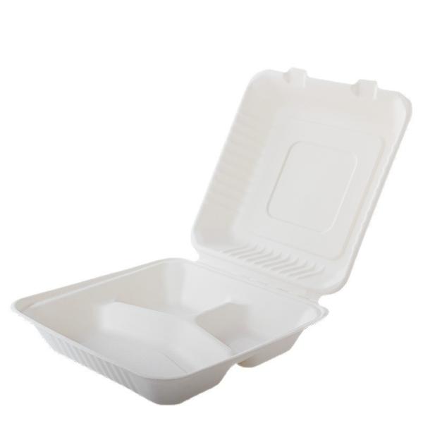 Convenient Food Container Compostable Disposable Tableware for Eco-Friendly Take Away
