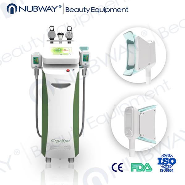 Hot Promotion!!! Clinic/Salon/Spa use body slimming 4 in 1 cryolipolysis