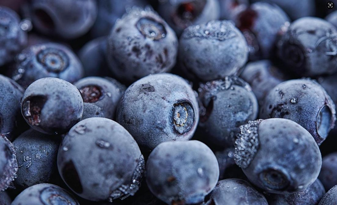 IQF Sweet Whole Blueberries Frozen Blueberries