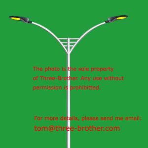 China Double Arm Lighting Columns Model No. TBP-02B on sale