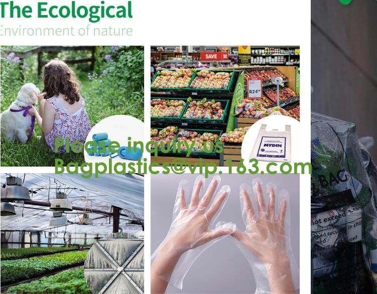100% Certified Biodegradable Compost Bags, Food Waste Bags,Food grade compostable coffee bags,Biodegradable Stand Up Cof