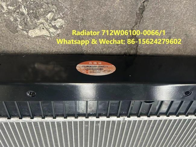 Radiator 712W06100-0066/1 HOWO Truck Parts Engine Radiator Coolant Radiator