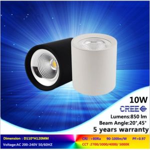 China 4000K AC230v surface-mount lights LED downlight cree COB ceiling light with CE RoHs on sale