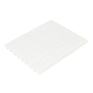 Customized 1001 Type Modular Conveyor Belt for Conveyor System