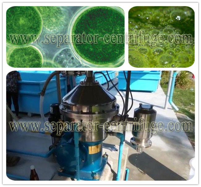Automatic Unload Vertical Disc Separator - Centrifuge Fresh Algae Separator